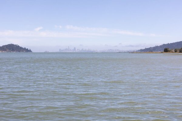 A calm body of water with distant hills on either side and a city skyline faintly visible on the horizon under a clear sky.