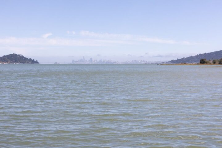 A calm body of water with distant hills on either side and a city skyline faintly visible on the horizon under a clear sky.