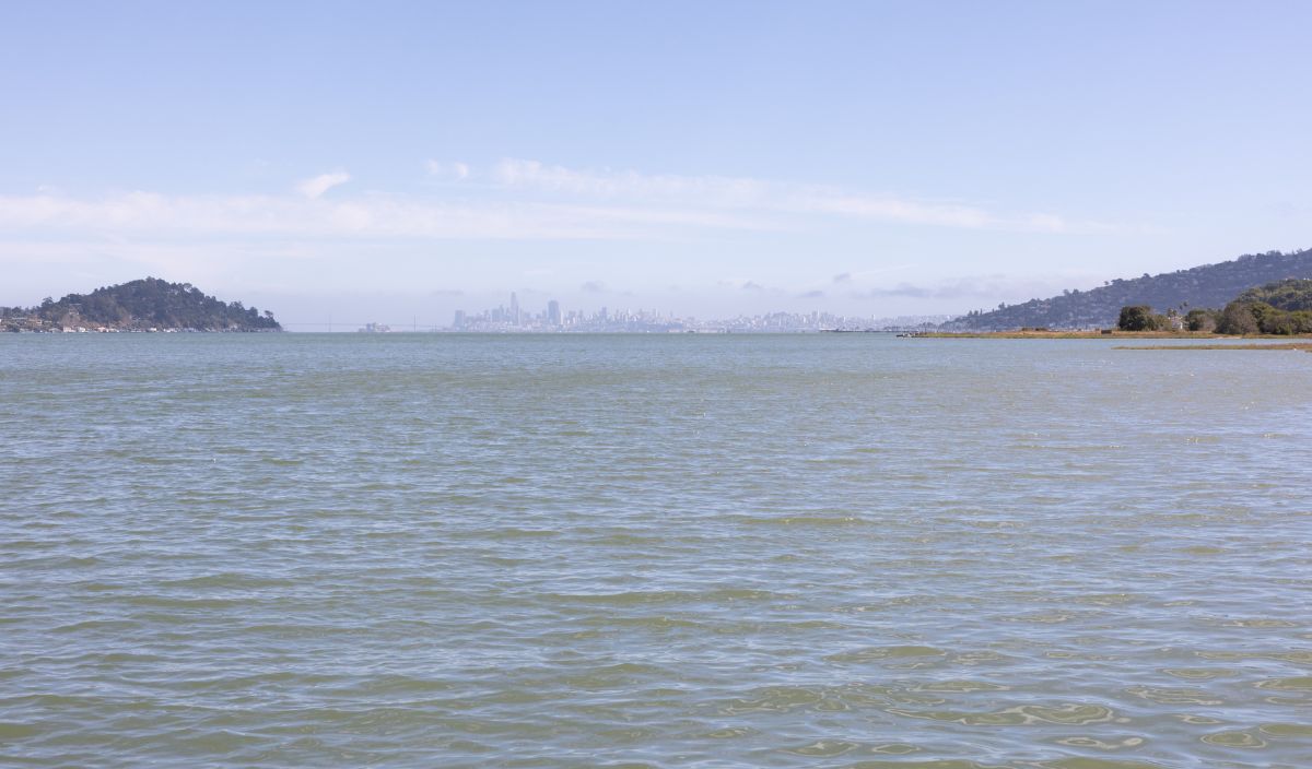 A calm body of water with distant hills on either side and a city skyline faintly visible on the horizon under a clear sky.