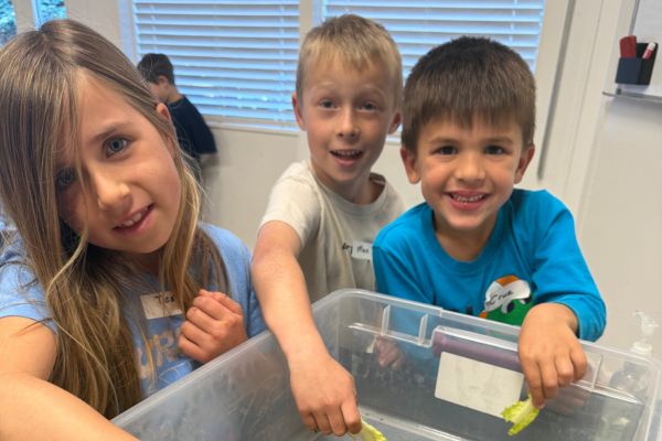 Three children stand by a clear plastic bin indoors, smiling and holding pieces of lettuce over the container.