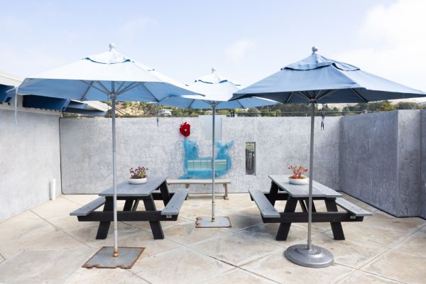 Two picnic tables with blue umbrellas and potted plants on top are arranged on a concrete patio, next to a bench and surrounded by a gray concrete wall.