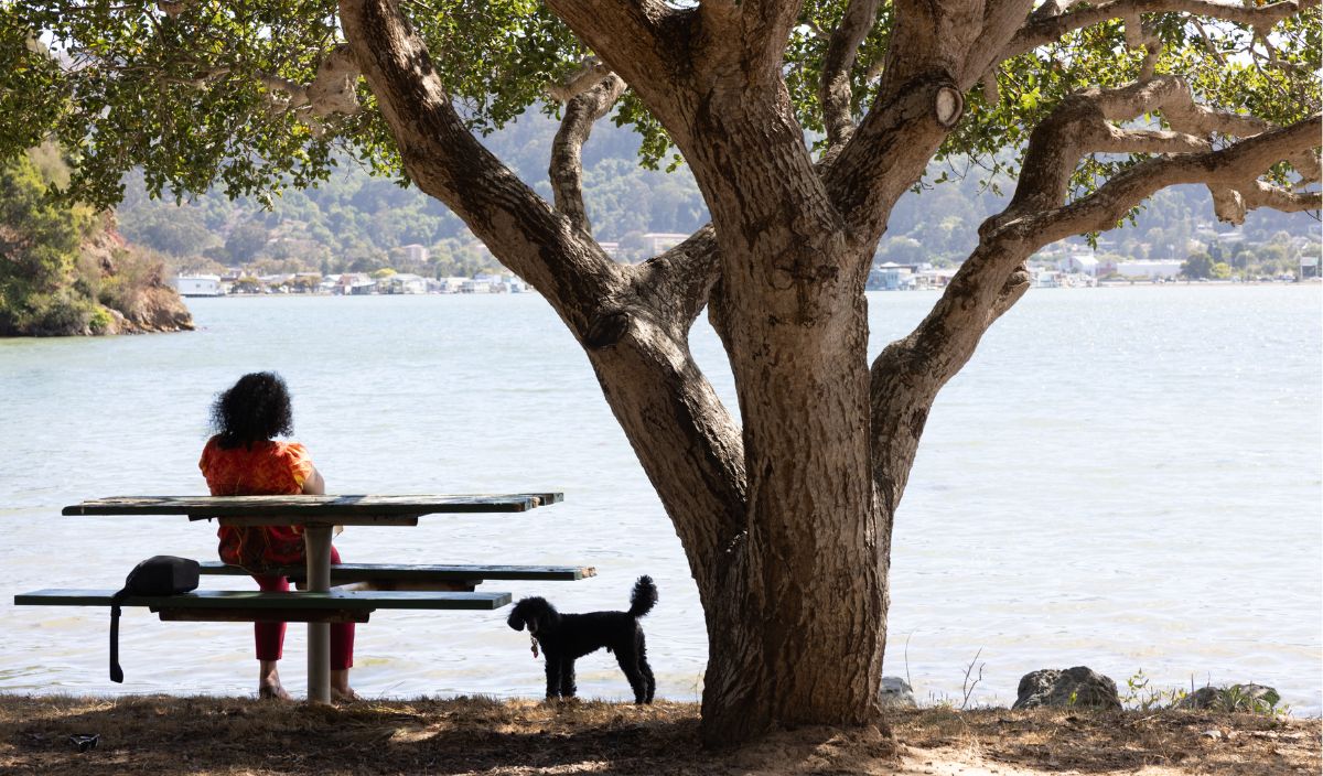 A person sits alone on a picnic table under a large tree by a lake, with a small dog standing nearby and a bag on the table.