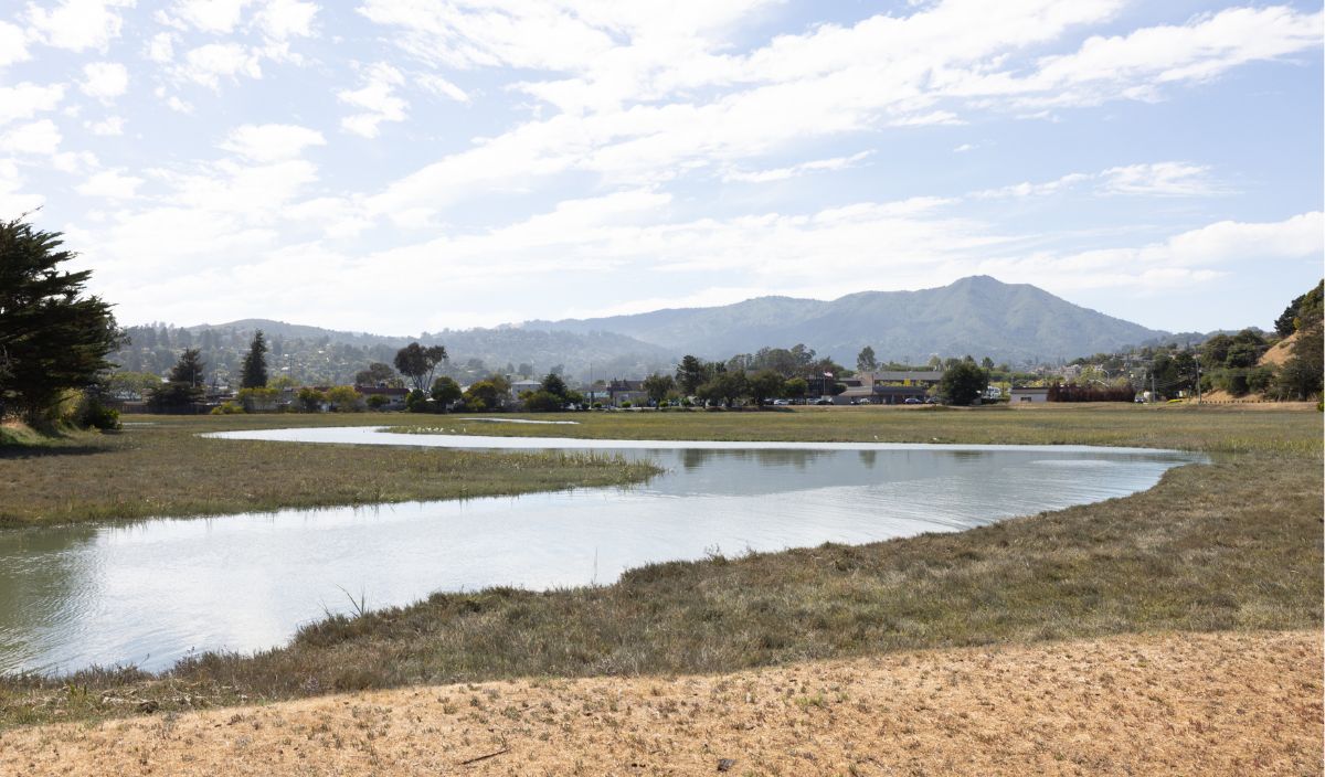 A winding stream flows through grassy wetlands with distant buildings and mountains under a partly cloudy sky.