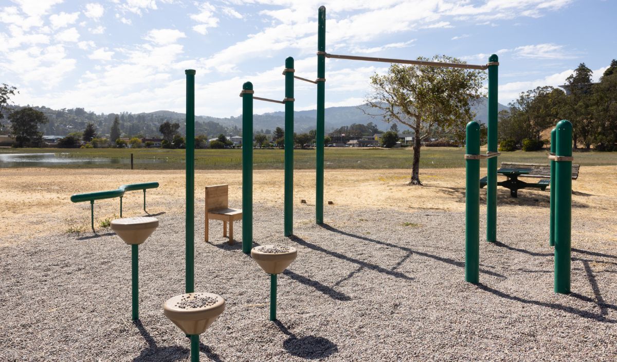 Outdoor fitness park with green exercise equipment, including pull-up bars and balancing platforms, on gravel ground with a tree, lake, and mountains in the background.